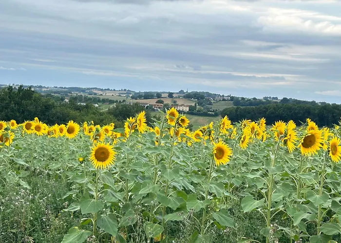 Chez Jay à Couette-café
